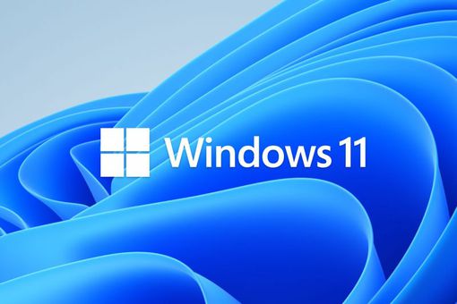 Windows 11标志