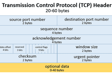 传输控制协议(TCP)头