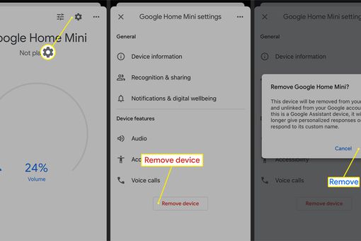 从Google Home App中删除设备的过程